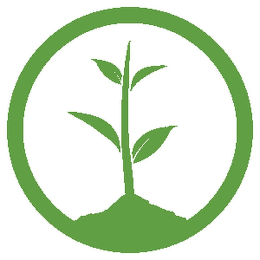 One Tree Planted's logo